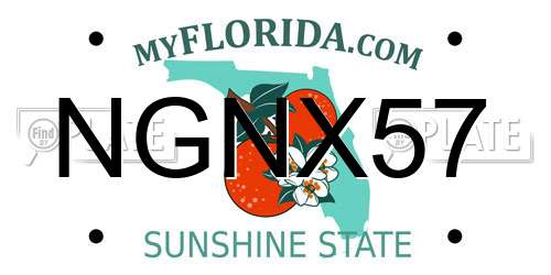 NGNX57 Florida License Plate