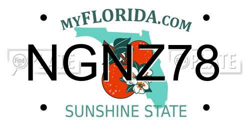 NGNZ78 Florida License Plate