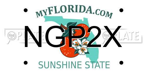 NGP2X Florida License Plate
