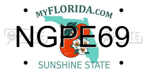 NGPE69 Florida License Plate