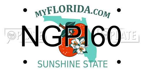 NGPI60 Florida License Plate