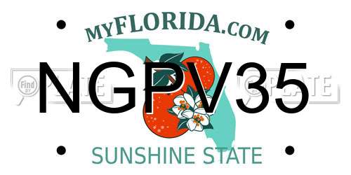 NGPV35 Florida License Plate