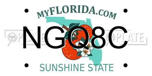 NGQ8C Florida License Plate