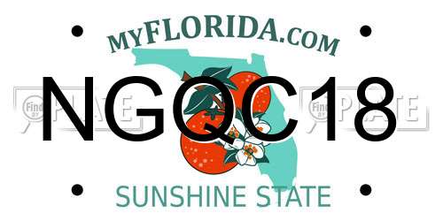 NGQC18 Florida License Plate