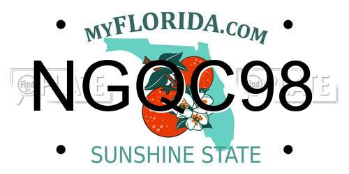 NGQC98 Florida License Plate