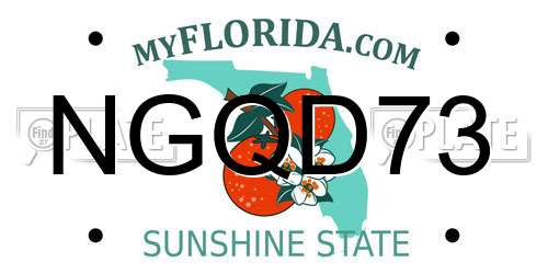 NGQD73 Florida License Plate