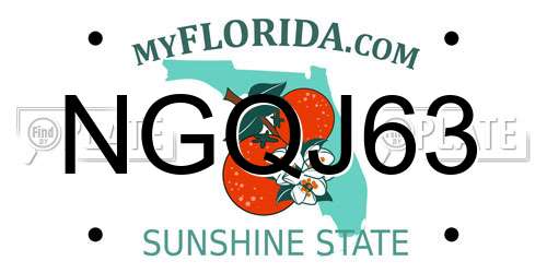 NGQJ63 Florida License Plate