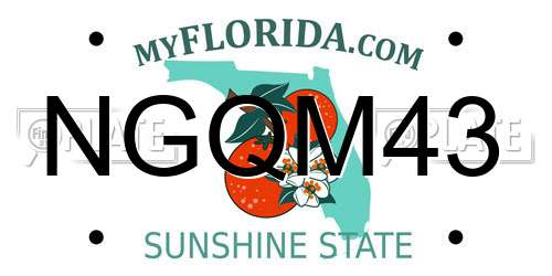NGQM43 Florida License Plate