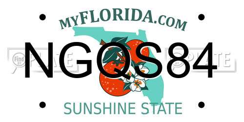 NGQS84 Florida License Plate