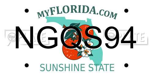 NGQS94 Florida License Plate