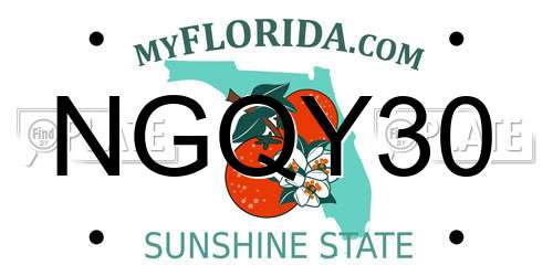 NGQY30 Florida License Plate
