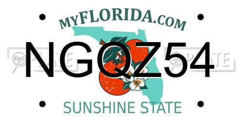 NGQZ54 Florida License Plate