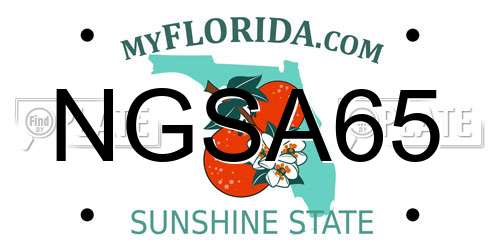 NGSA65 Florida License Plate