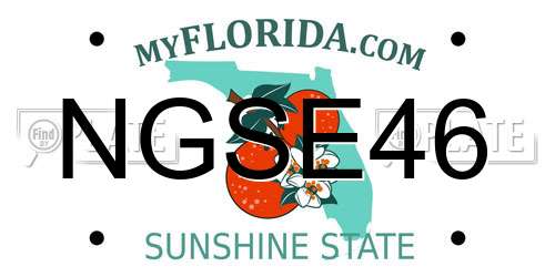 NGSE46 Florida License Plate