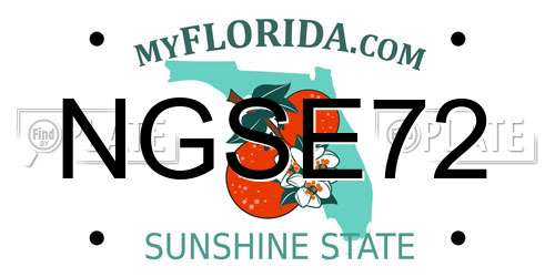 NGSE72 Florida License Plate
