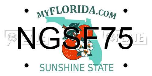 NGSF75 Florida License Plate