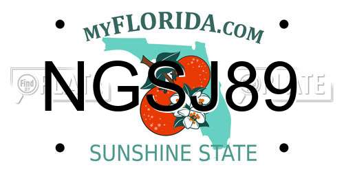 NGSJ89 Florida License Plate