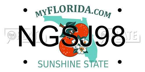 NGSJ98 Florida License Plate