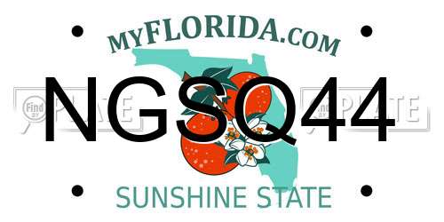 NGSQ44 Florida License Plate