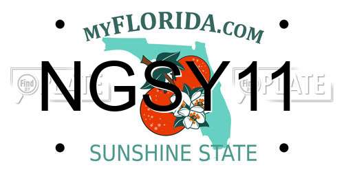 NGSY11 Florida License Plate