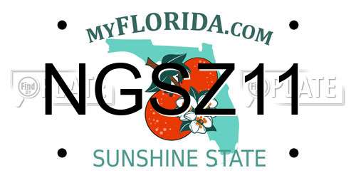 NGSZ11 Florida License Plate