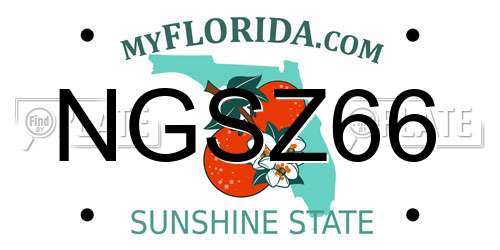NGSZ66 Florida License Plate