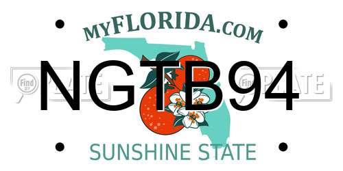 NGTB94 Florida License Plate