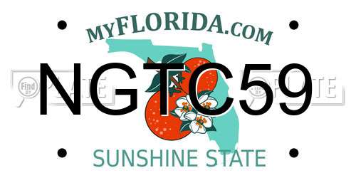 NGTC59 Florida License Plate