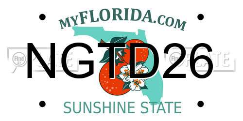 NGTD26 Florida License Plate