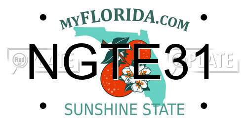 NGTE31 Florida License Plate