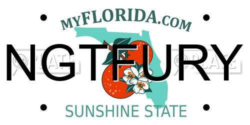 NGTFURY Florida License Plate