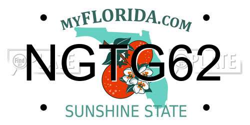 NGTG62 Florida License Plate
