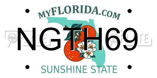 NGTH69 Florida License Plate