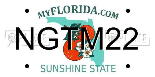 NGTM22 Florida License Plate