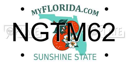 NGTM62 Florida License Plate