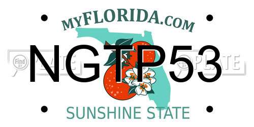 NGTP53 Florida License Plate