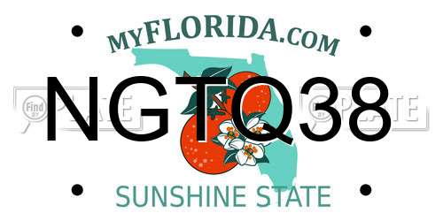 NGTQ38 Florida License Plate