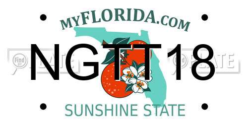 NGTT18 Florida License Plate