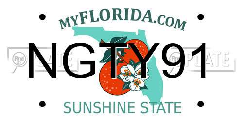 NGTY91 Florida License Plate