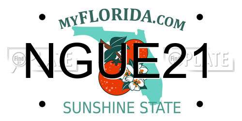 NGUE21 Florida License Plate