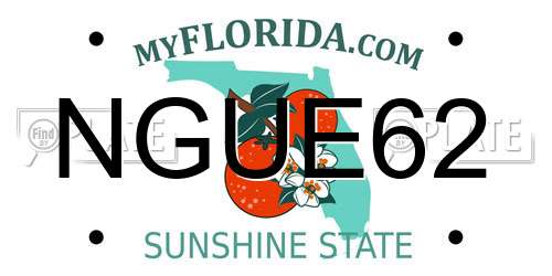 NGUE62 Florida License Plate
