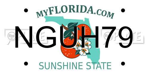 NGUH79 Florida License Plate