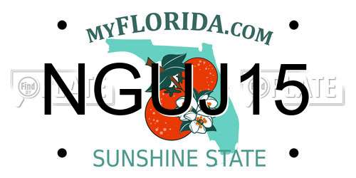 NGUJ15 Florida License Plate
