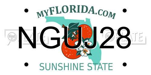 NGUJ28 Florida License Plate