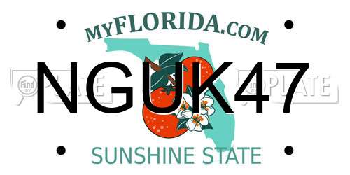 NGUK47 Florida License Plate