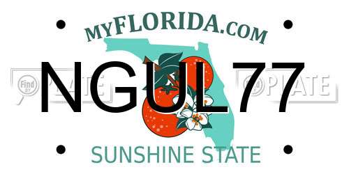 NGUL77 Florida License Plate