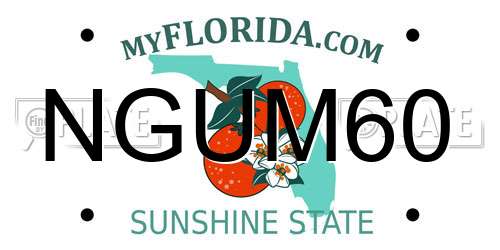 NGUM60 Florida License Plate