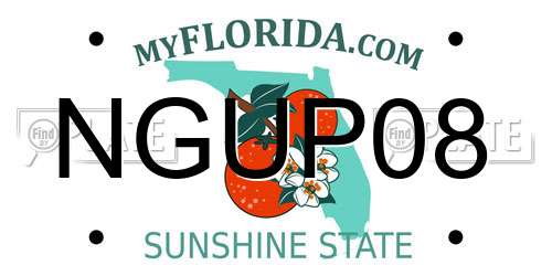 NGUP08 Florida License Plate
