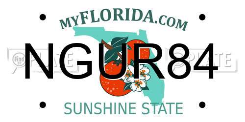 NGUR84 Florida License Plate
