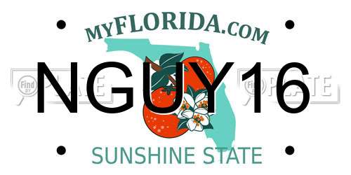 NGUY16 Florida License Plate